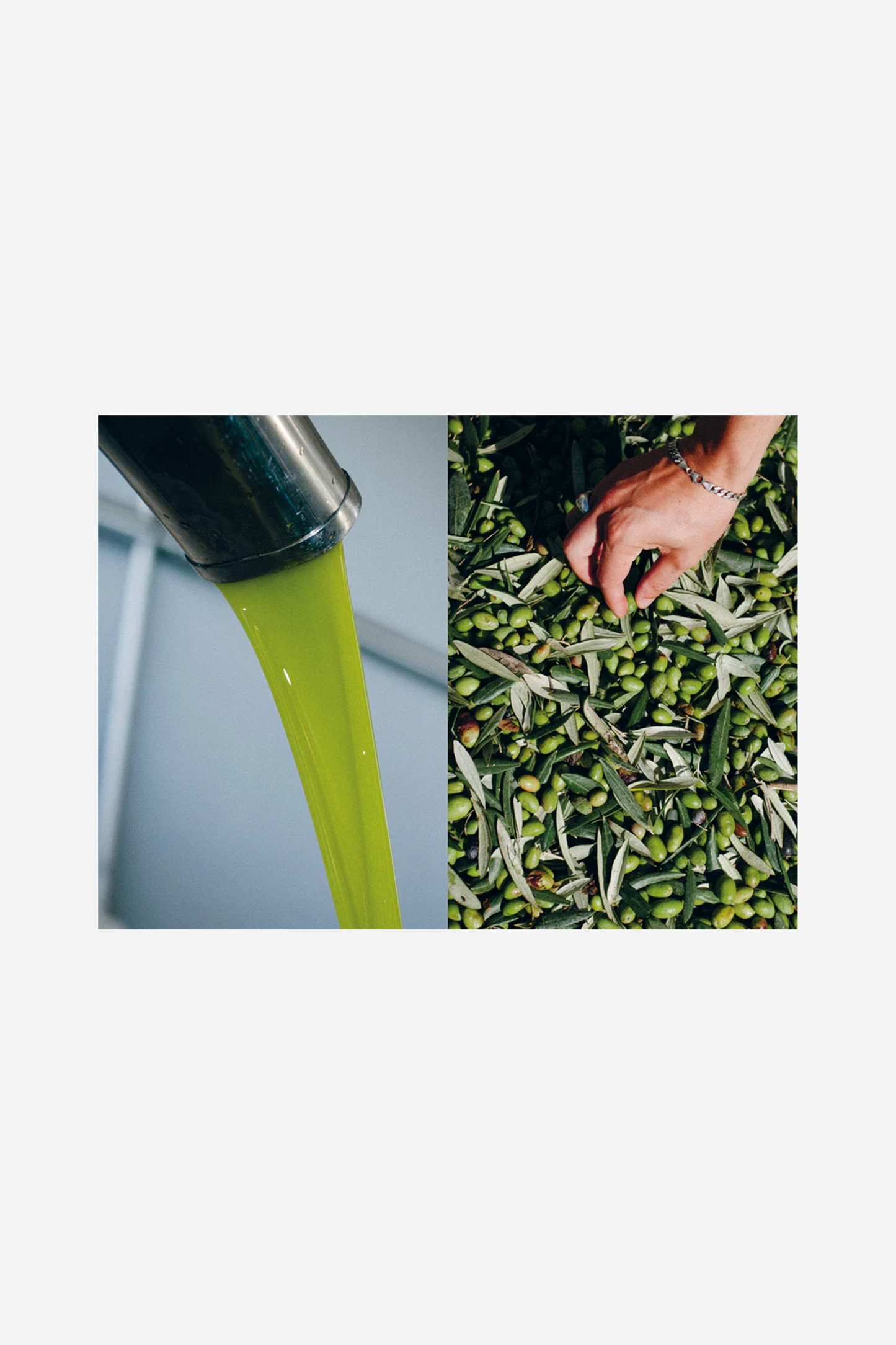 A Book About Olive Oil