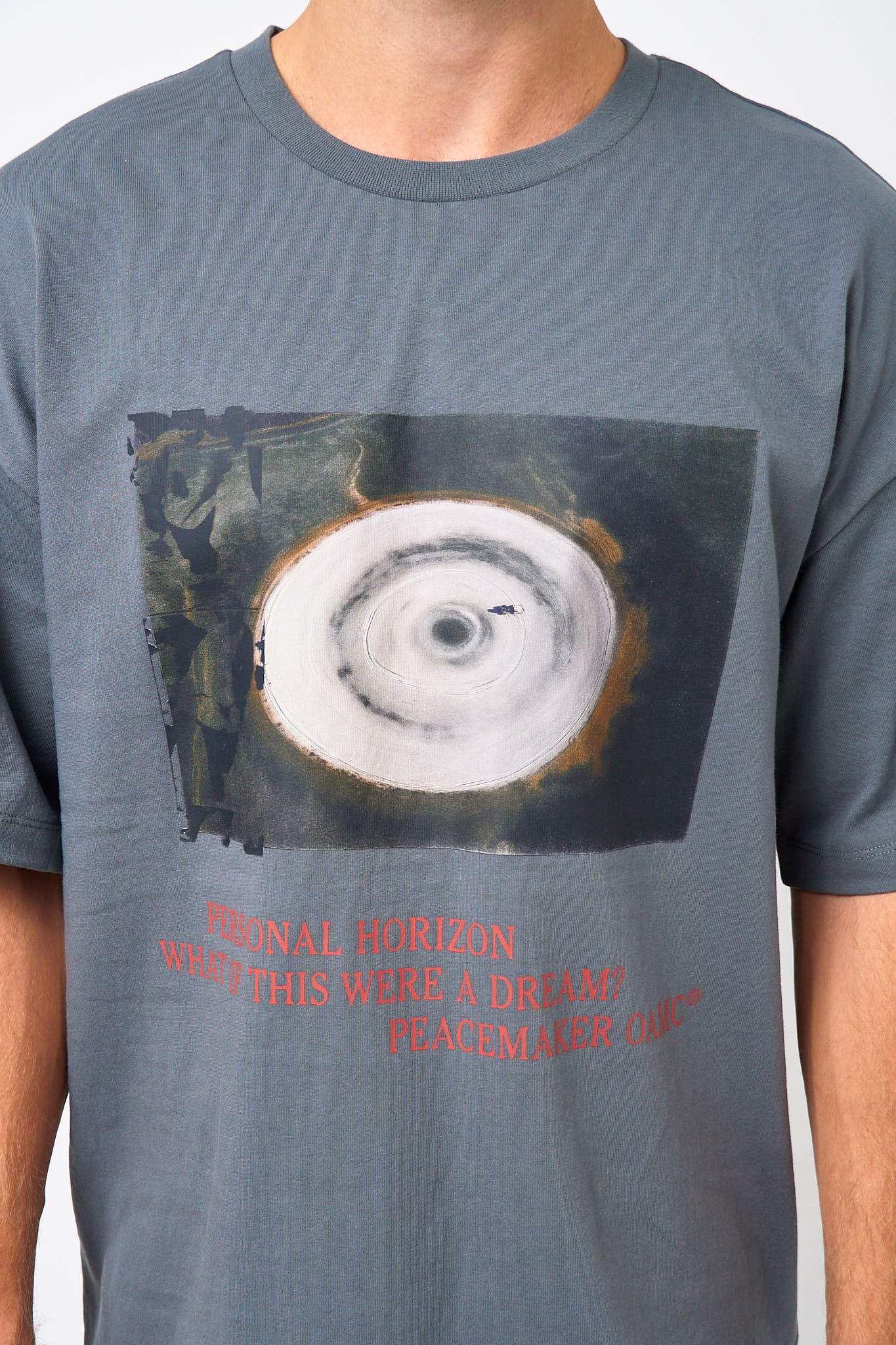 Loose Fit T-Shirt Landart Print Gray