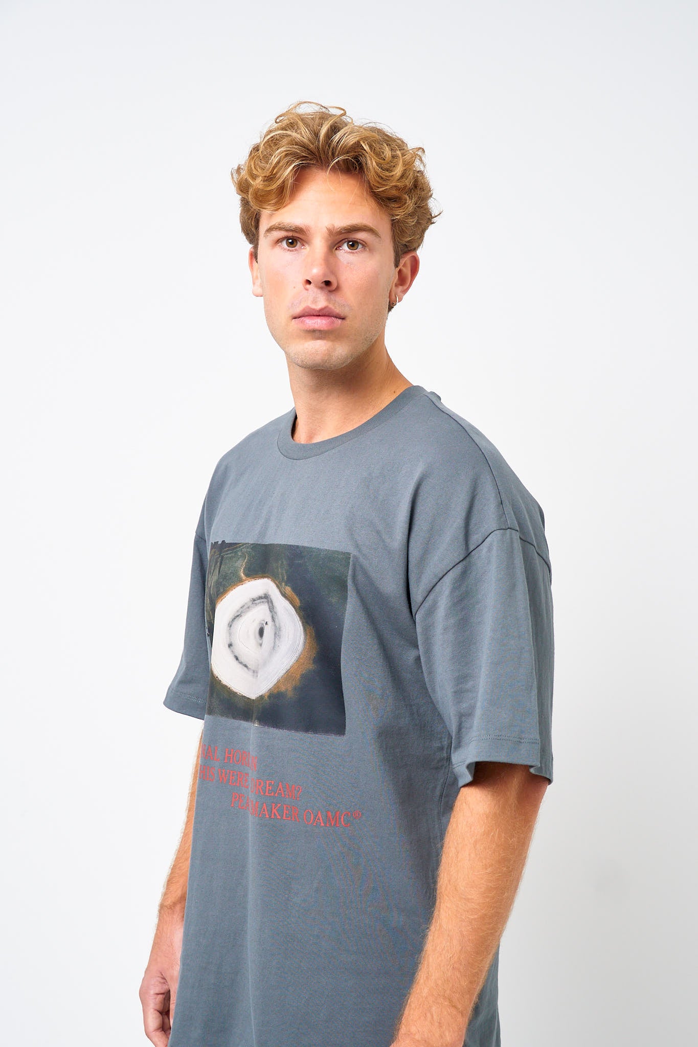 Loose Fit T-Shirt Landart Print Gray