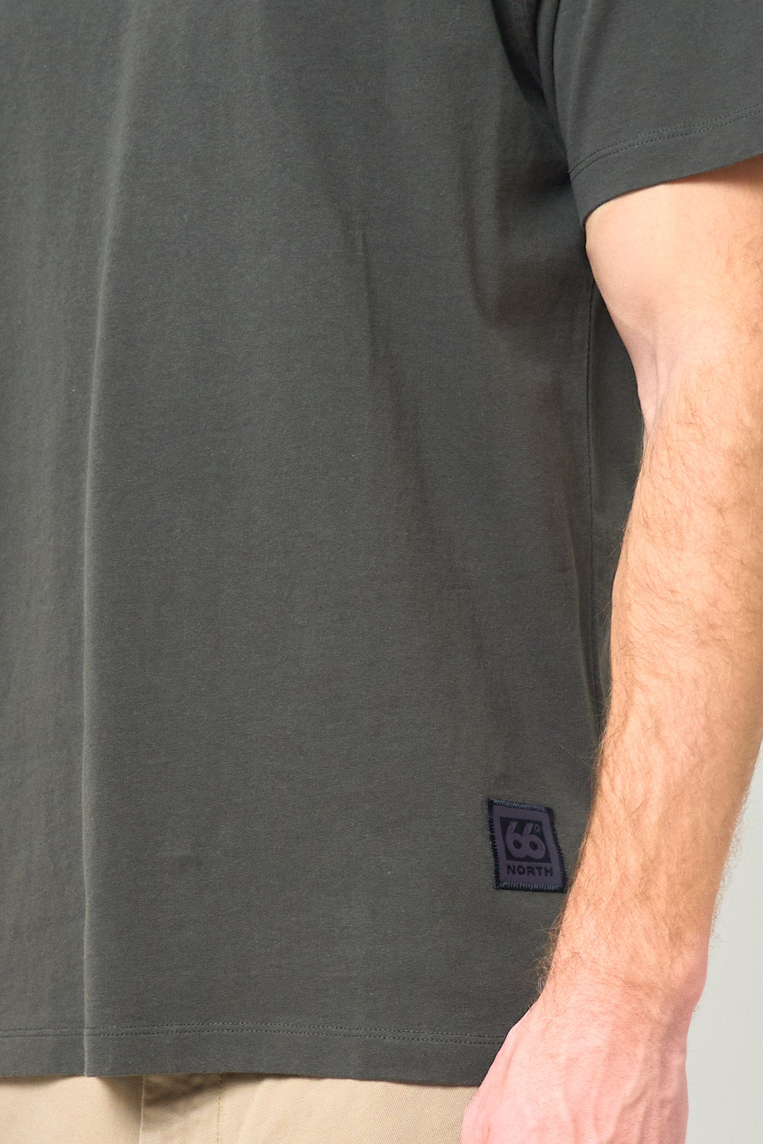 Nordurgata T-shirt Alpine Grimmia