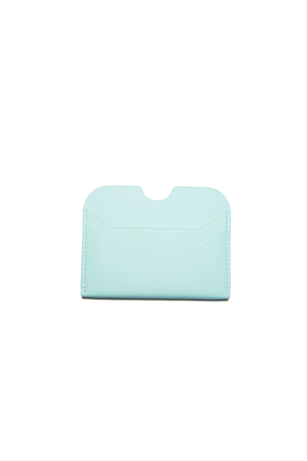 Leather Card Holder Pastel Green