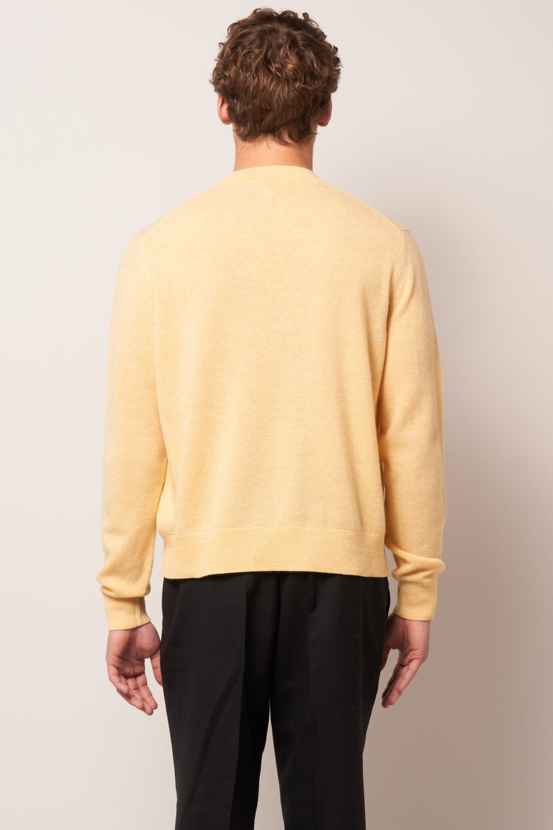 Wool Crew Neck Sweater Light Yellow Melange